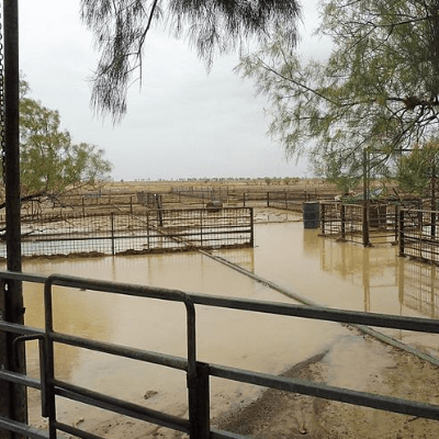 Farm gates standing in flood water